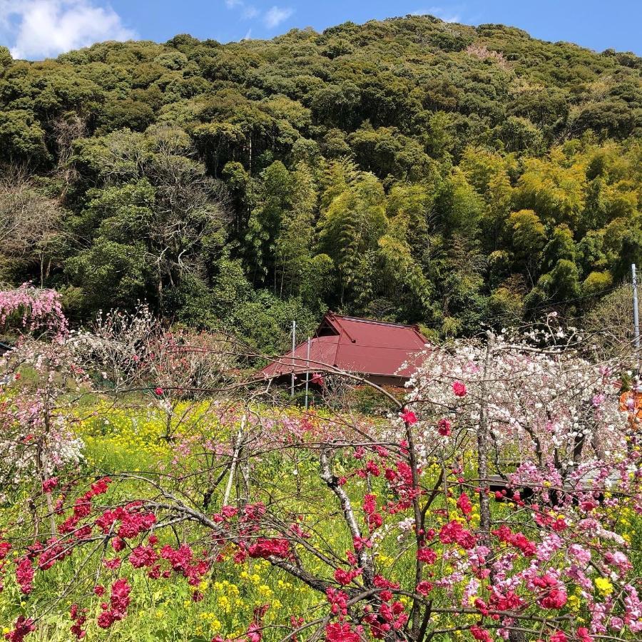 Toraya Attic Villa Shimoda  Bagian luar foto
